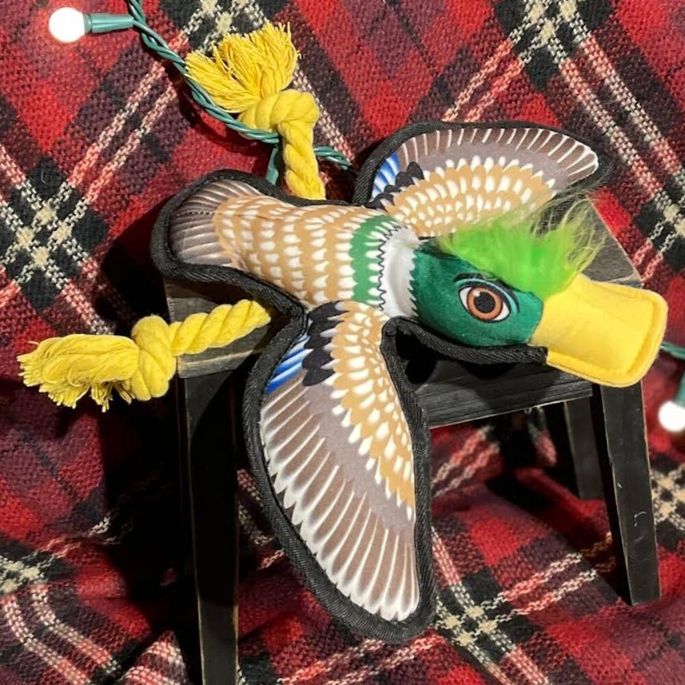 Extra Durable and Bright Duck Toy for Dogs. Mallard Design!  NWT